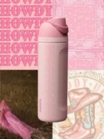Owala FreeSip 24oz Insulated Water Bottle - Painted Canyon Western Collection